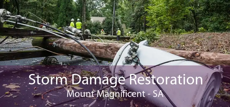 Storm Damage Restoration Mount Magnificent - SA