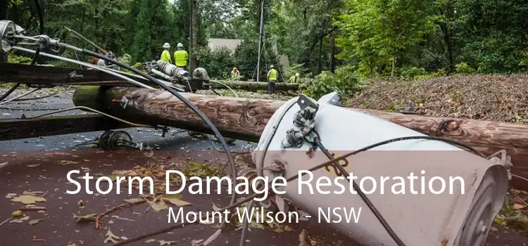 Storm Damage Restoration Mount Wilson - NSW