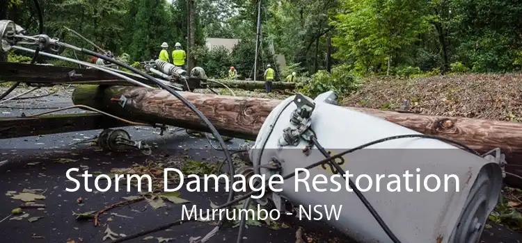 Storm Damage Restoration Murrumbo - NSW