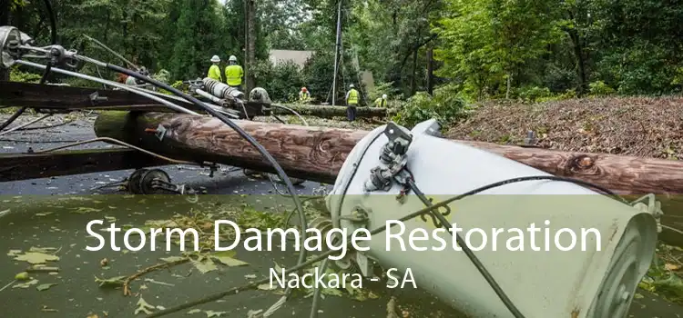 Storm Damage Restoration Nackara - SA