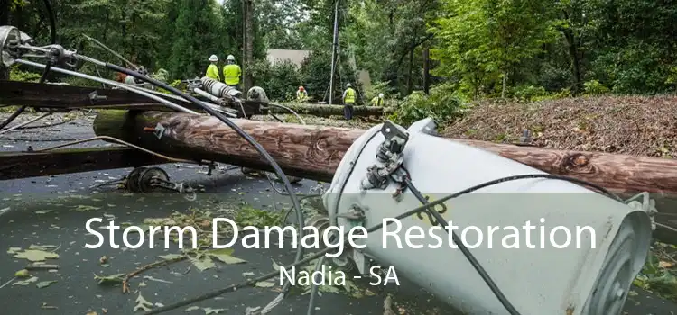 Storm Damage Restoration Nadia - SA
