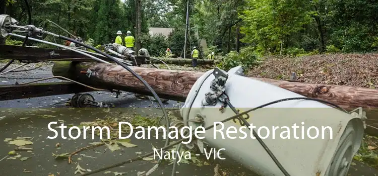 Storm Damage Restoration Natya - VIC