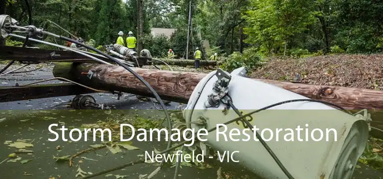 Storm Damage Restoration Newfield - VIC