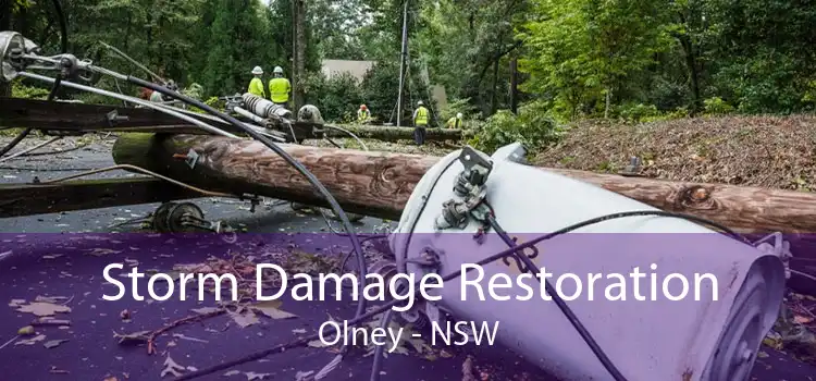 Storm Damage Restoration Olney - NSW