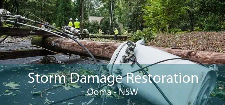 Storm Damage Restoration Ooma - NSW