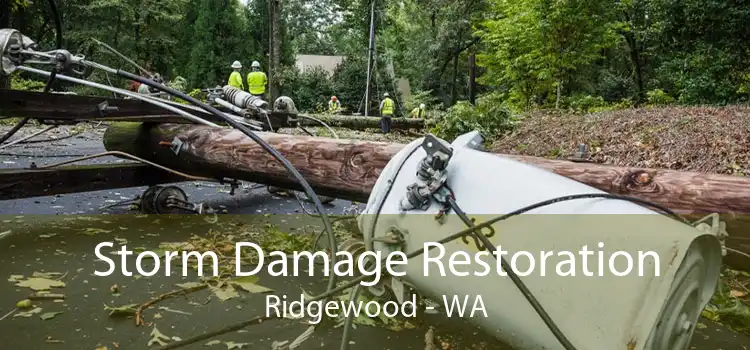 Storm Damage Restoration Ridgewood - WA