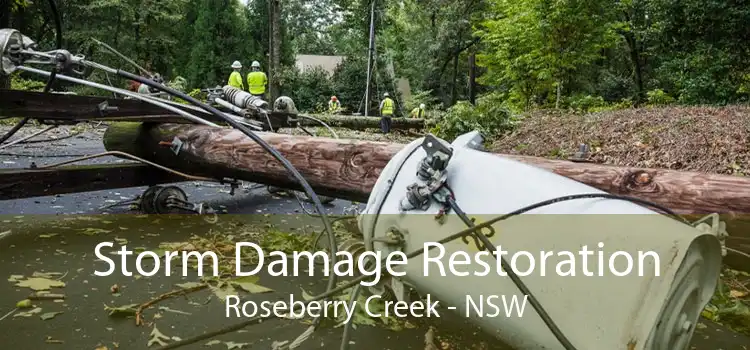 Storm Damage Restoration Roseberry Creek - NSW