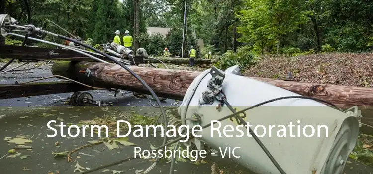Storm Damage Restoration Rossbridge - VIC