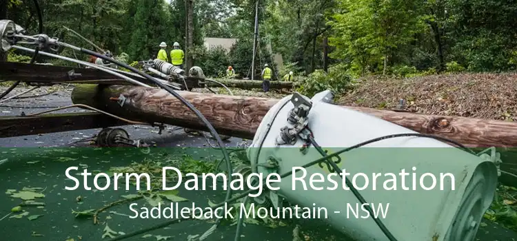 Storm Damage Restoration Saddleback Mountain - NSW