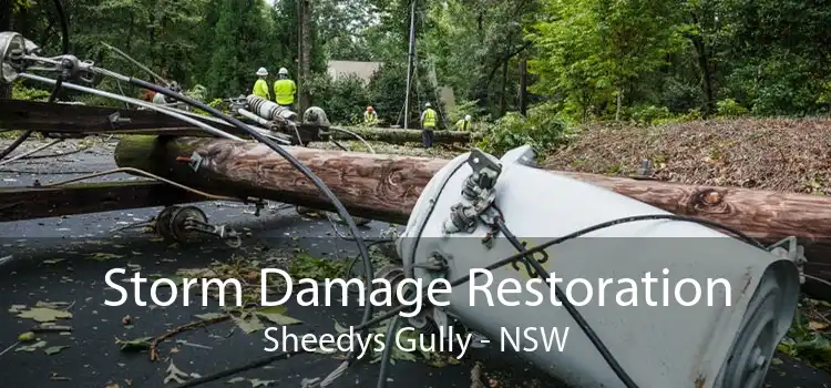 Storm Damage Restoration Sheedys Gully - NSW