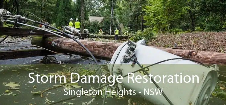 Storm Damage Restoration Singleton Heights - NSW
