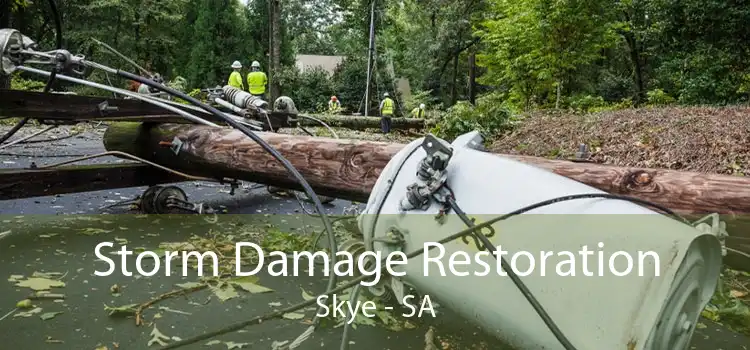 Storm Damage Restoration Skye - SA