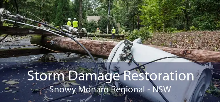 Storm Damage Restoration Snowy Monaro Regional - NSW