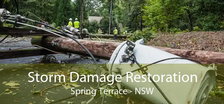 Storm Damage Restoration Spring Terrace - NSW
