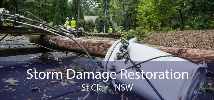 Storm Damage Restoration St Clair - NSW