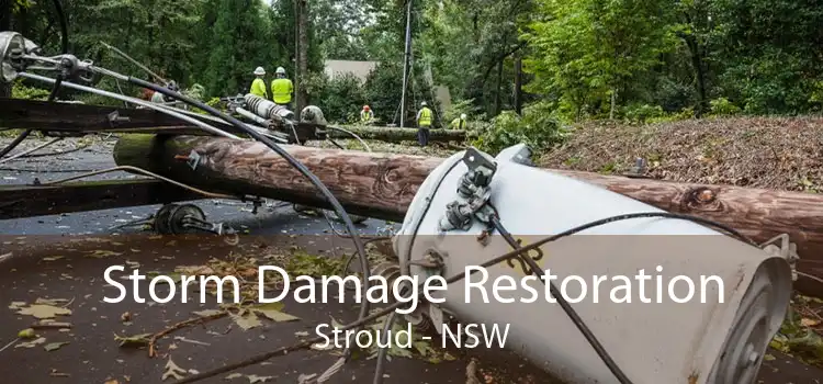 Storm Damage Restoration Stroud - NSW