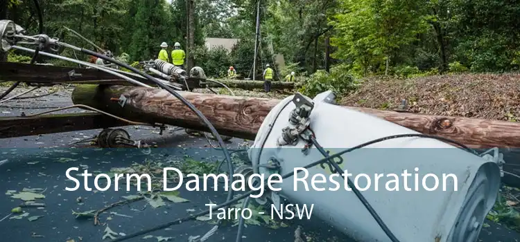 Storm Damage Restoration Tarro - NSW