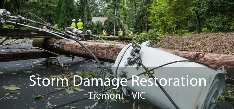 Storm Damage Restoration Tremont - VIC
