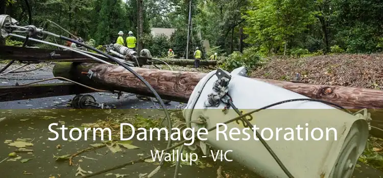 Storm Damage Restoration Wallup - VIC