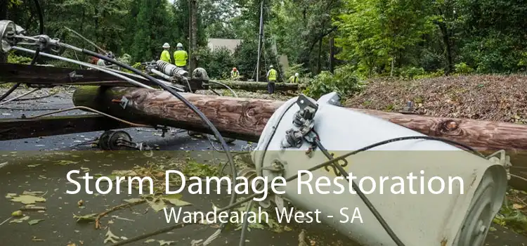 Storm Damage Restoration Wandearah West - SA