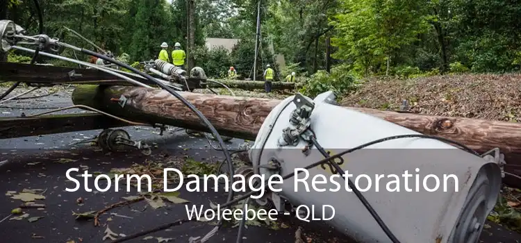 Storm Damage Restoration Woleebee - QLD