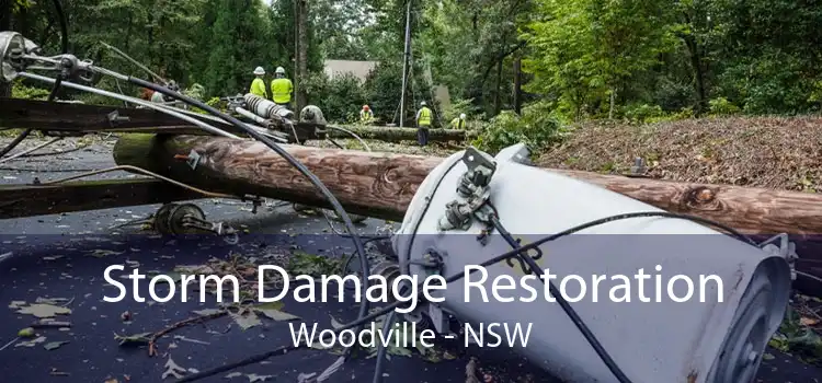 Storm Damage Restoration Woodville - NSW