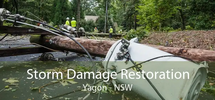 Storm Damage Restoration Yagon - NSW