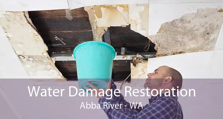 Water Damage Restoration Abba River - WA