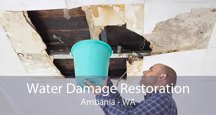 Water Damage Restoration Ambania - WA