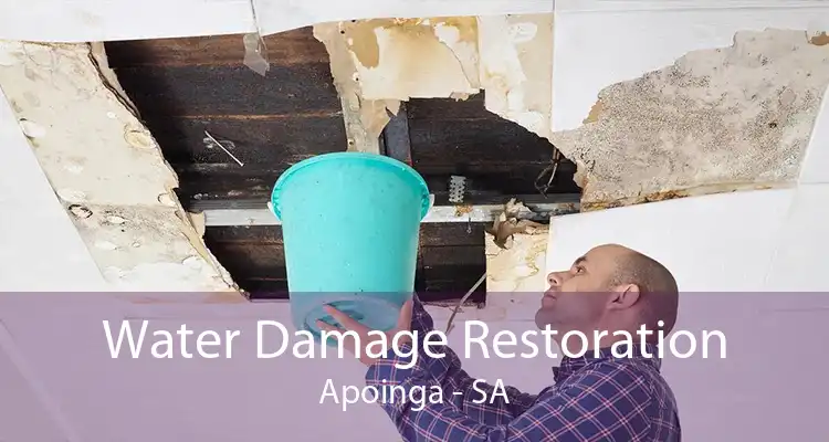 Water Damage Restoration Apoinga - SA