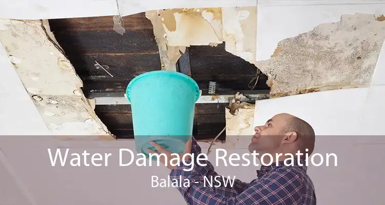 Water Damage Restoration Balala - NSW