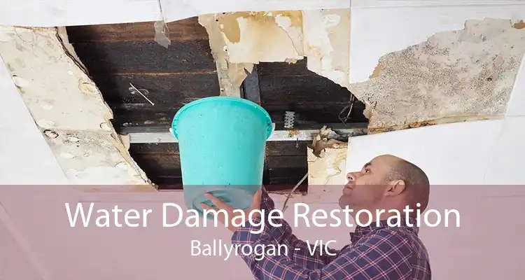 Water Damage Restoration Ballyrogan - VIC