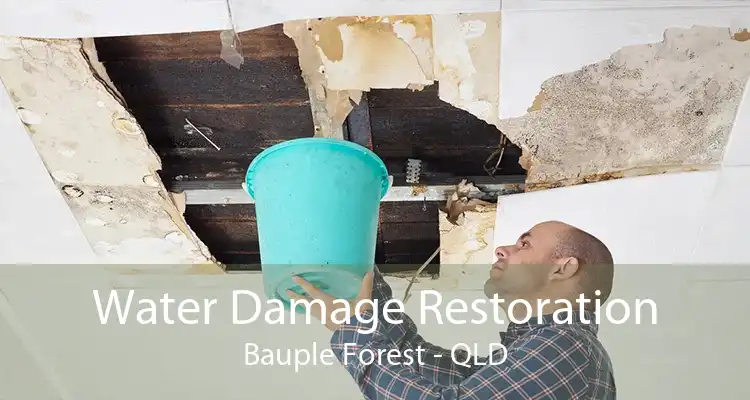 Water Damage Restoration Bauple Forest - QLD
