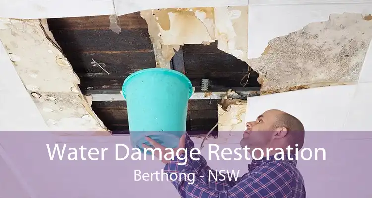 Water Damage Restoration Berthong - NSW