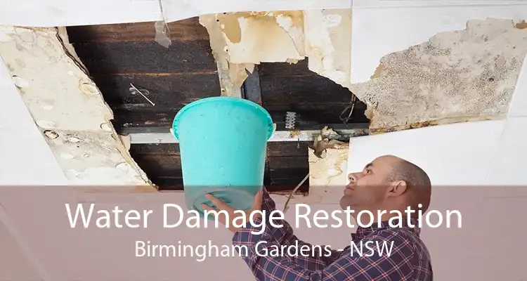 Water Damage Restoration Birmingham Gardens - NSW
