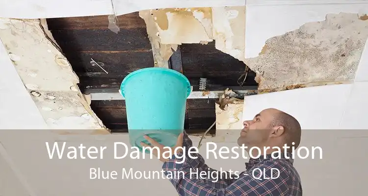 Water Damage Restoration Blue Mountain Heights - QLD