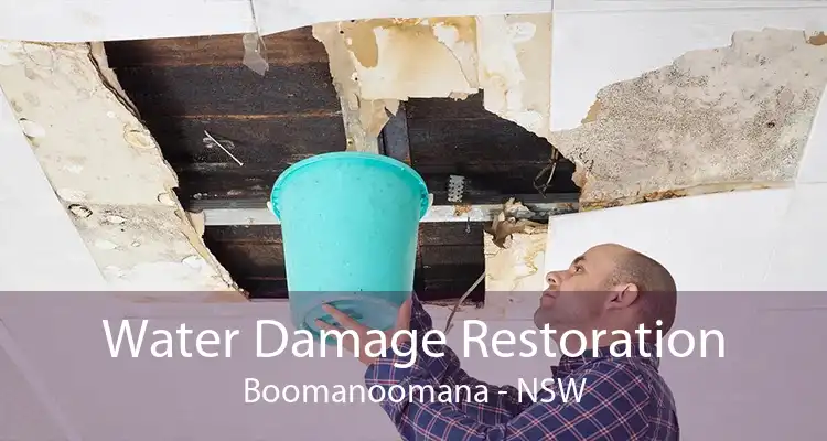 Water Damage Restoration Boomanoomana - NSW