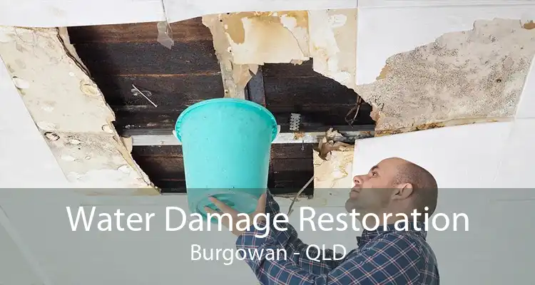 Water Damage Restoration Burgowan - QLD