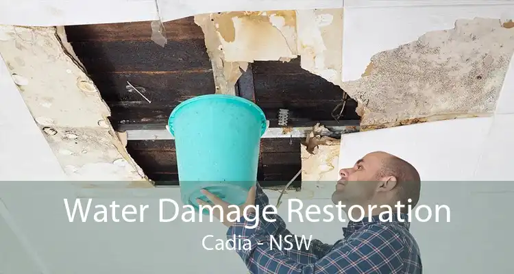 Water Damage Restoration Cadia - NSW