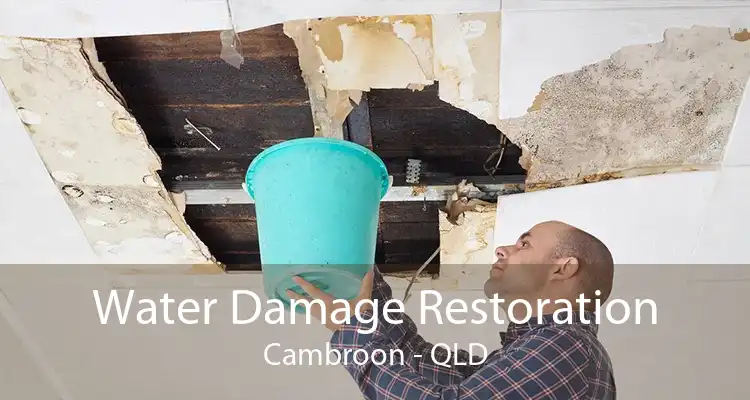 Water Damage Restoration Cambroon - QLD