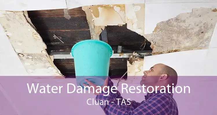 Water Damage Restoration Cluan - TAS