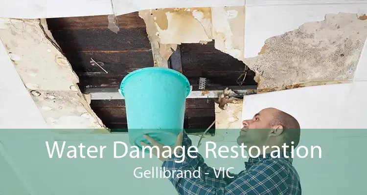 Water Damage Restoration Gellibrand - VIC