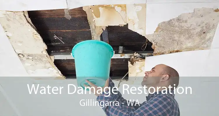 Water Damage Restoration Gillingarra - WA