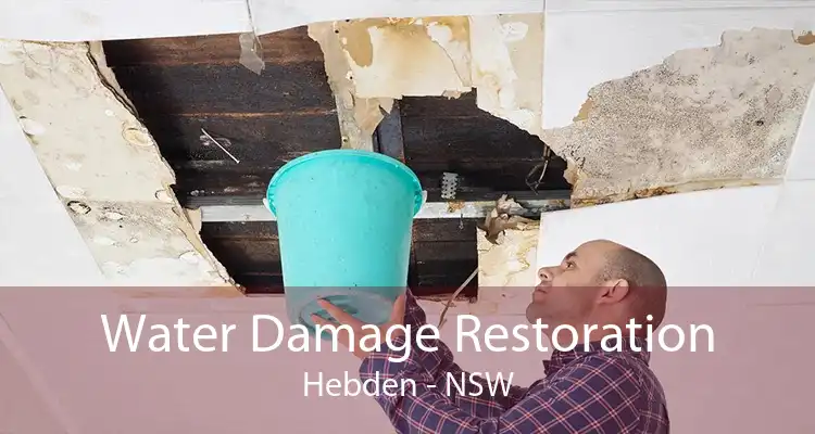 Water Damage Restoration Hebden - NSW