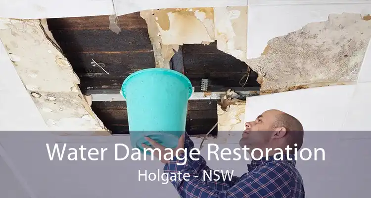 Water Damage Restoration Holgate - NSW