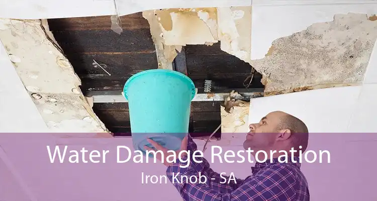 Water Damage Restoration Iron Knob - SA