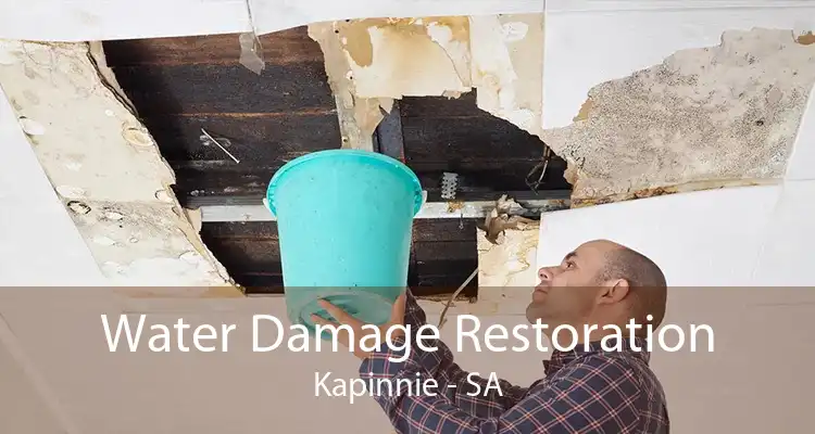 Water Damage Restoration Kapinnie - SA