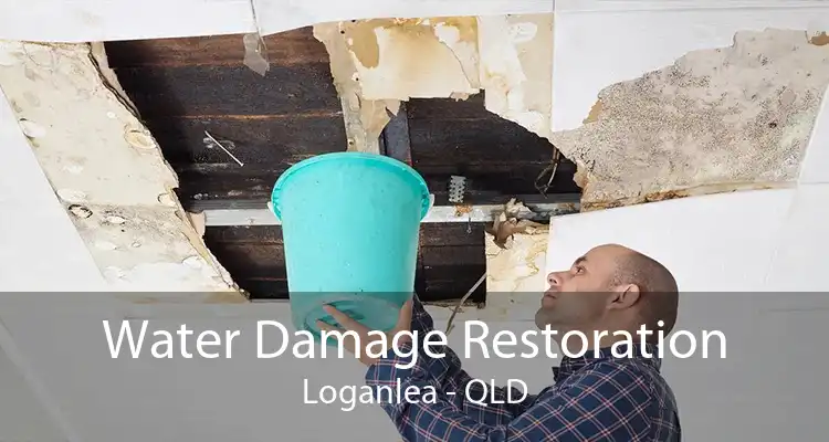 Water Damage Restoration Loganlea - QLD