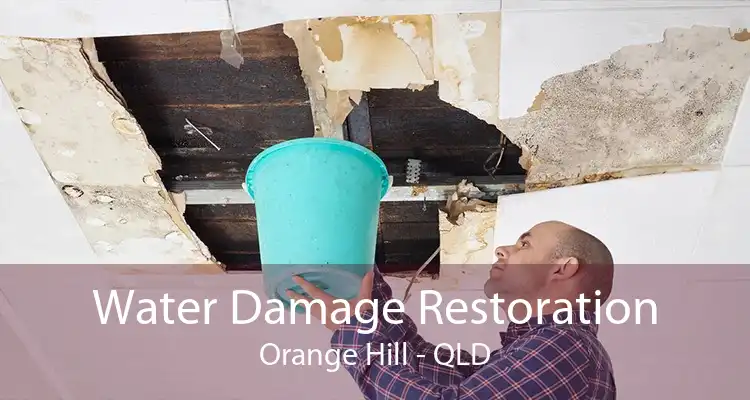 Water Damage Restoration Orange Hill - QLD