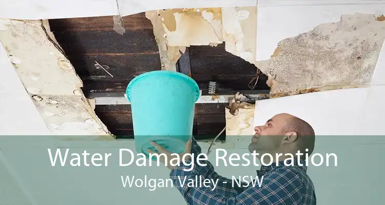 Water Damage Restoration Wolgan Valley - NSW